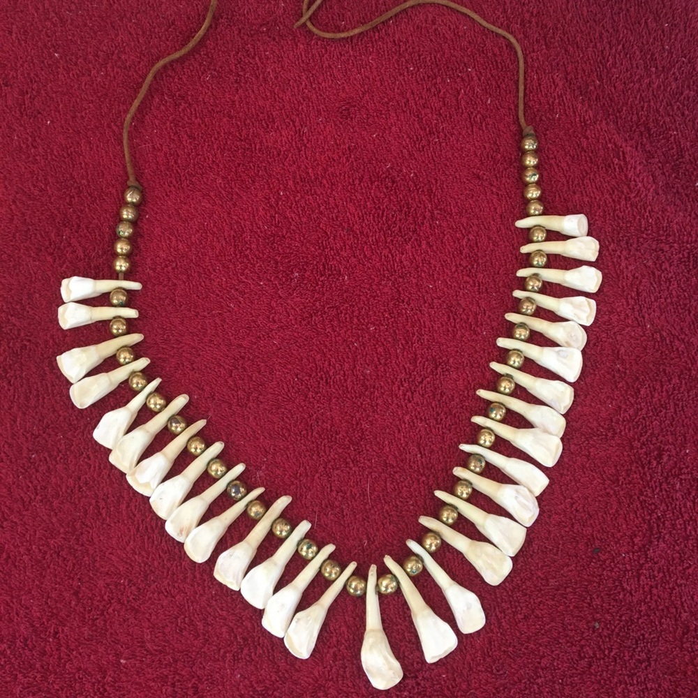 Shark tooth necklace from Hawaii.